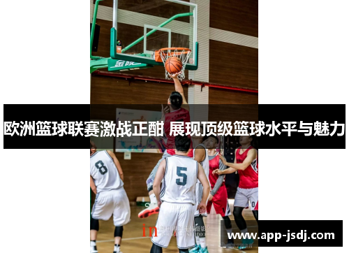 欧洲篮球联赛激战正酣 展现顶级篮球水平与魅力